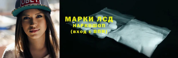 ГАЛЛЮЦИНОГЕННЫЕ ГРИБЫ Балабаново