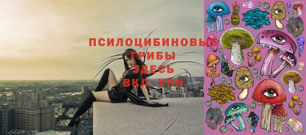 индика Покров
