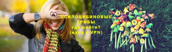 индика Покров