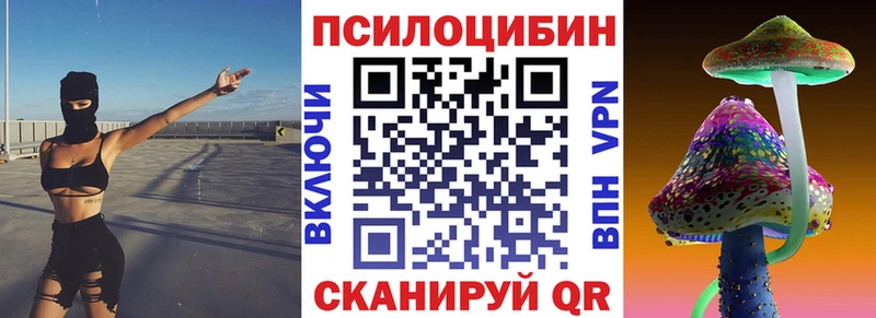 гидра ссылки  Кодинск  Галлюциногенные грибы Psilocybe 